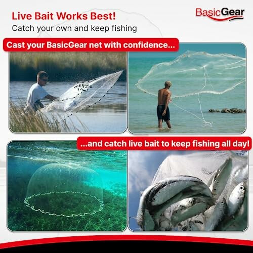 Collage of fishermen using nets with fish caught, promoting live bait.