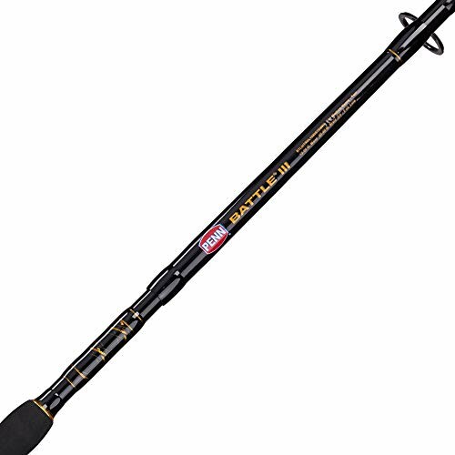 Penn Battle III fishing rod close-up